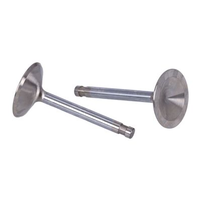 513846 - Manley, Race Master intake valve set. STD