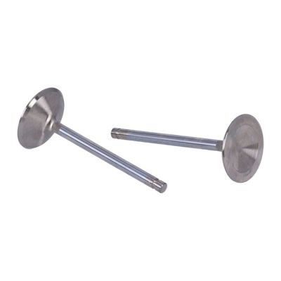 513848 - Manley, Race Master intake valve set. STD