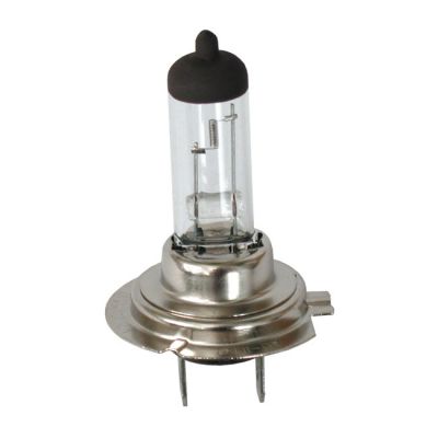 514609 - MCS H-7 light bulb, 12V 55 Watt
