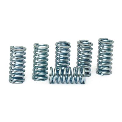 518573 - BDL, clutch spring set. For ETC clutches