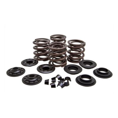 524595 - KIBBLEWHITE KPMI, valve spring kit. .600" lift. Steel top collars