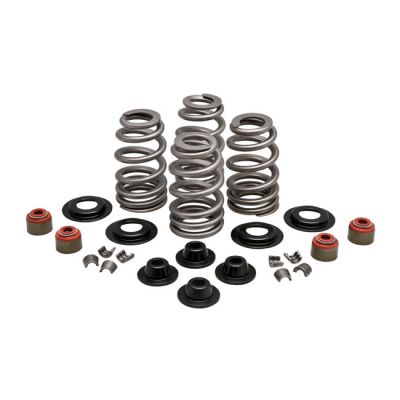 524624 - KIBBLEWHITE KPMI, Beehive valve spring kit. Steel. .610" lift