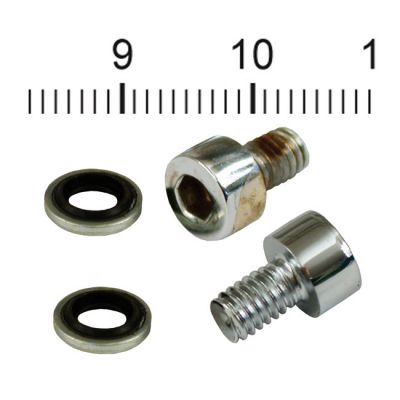 526093 - James Gaskets, fork slider drain screws. Chrome Allen head