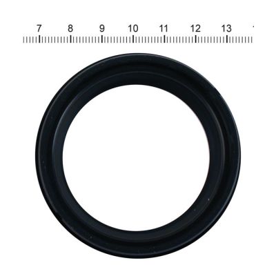 526104 - James, dust seal fork slider