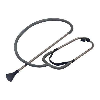 530756 - Lisle, audio stethoscope