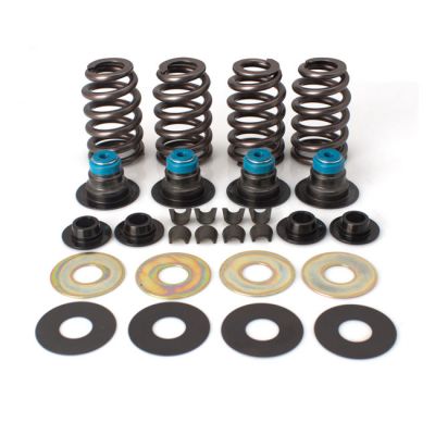 536561 - S&S, Street Performance valve spring kit. .585" valve lift