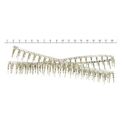 548273 - NAMZ, male pins for JST Mini plug connectors