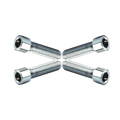 558585 - Wild1, chrome plated allen screws