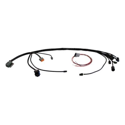 564059 - S&S, universal EFI wiring harness