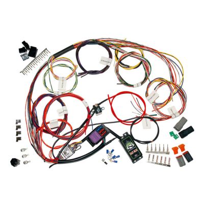 578671 - NAMZ, complete custom bike main wiring harness