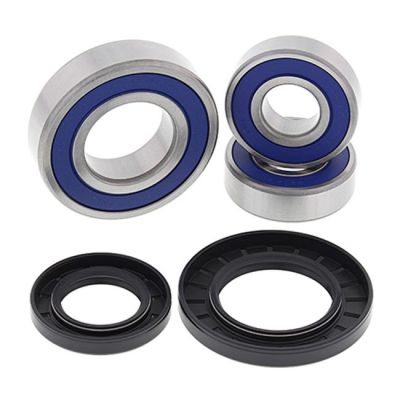 579525 - All Balls wheel bearing kit, rear