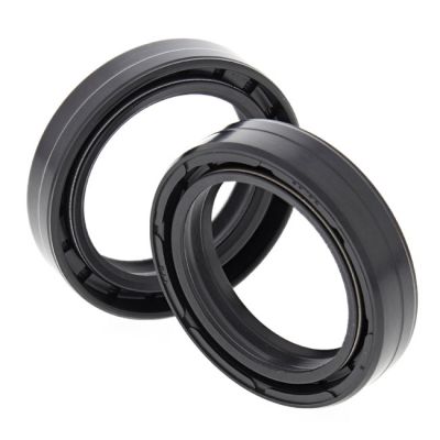 579732 - All Balls fork oil seal kit