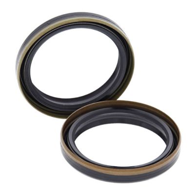 579755 - All Balls fork oil seal kit