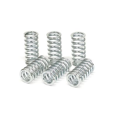 582583 - TRW Lucas TRW clutch spring kit