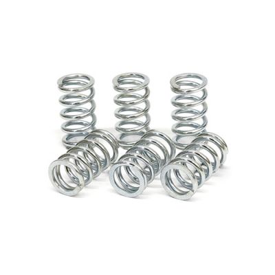 582589 - TRW Lucas TRW clutch spring kit