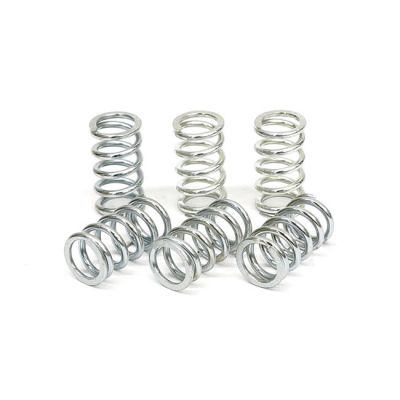 582591 - TRW Lucas TRW clutch spring kit