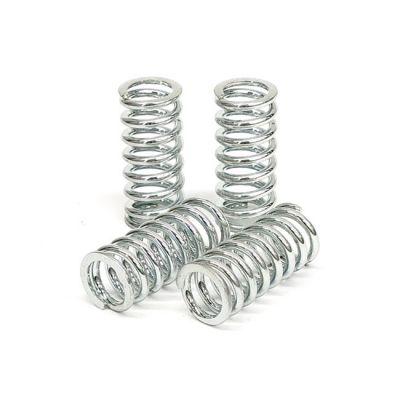 582596 - TRW Lucas TRW clutch spring kit