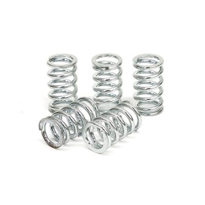 582600 - TRW Lucas TRW clutch spring kit