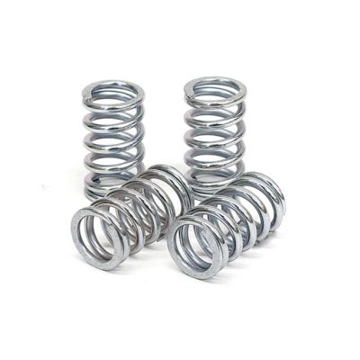 582603 - TRW Lucas TRW clutch spring kit