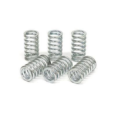 582614 - TRW Lucas TRW clutch spring kit