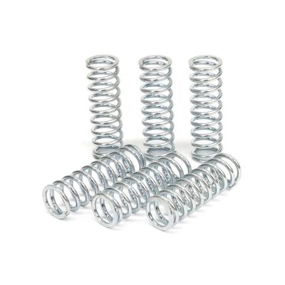 582618 - TRW Lucas TRW clutch spring kit