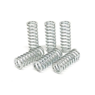 582625 - TRW Lucas TRW clutch spring kit