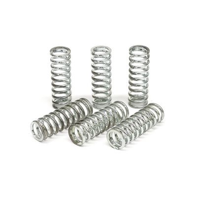 582627 - TRW Lucas TRW clutch spring kit