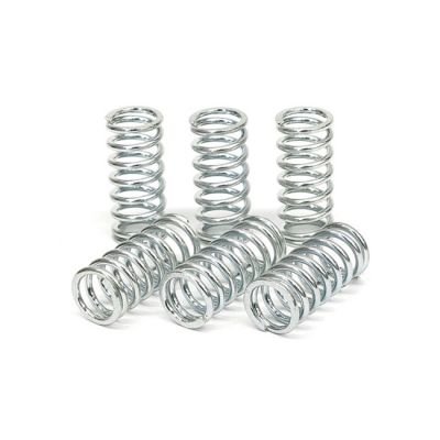 582630 - TRW Lucas TRW clutch spring kit