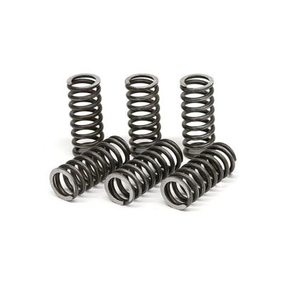 582631 - TRW Lucas TRW clutch spring kit