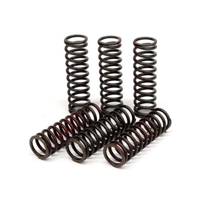 582637 - TRW Lucas TRW clutch spring kit