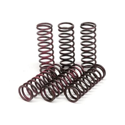 582638 - TRW Lucas TRW clutch spring kit