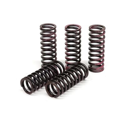 582639 - TRW Lucas TRW clutch spring kit