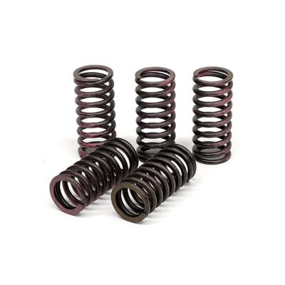 582640 - TRW Lucas TRW clutch spring kit