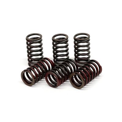 582641 - TRW Lucas TRW clutch spring kit