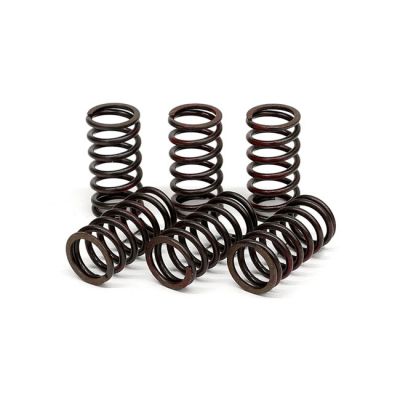 582642 - TRW Lucas TRW clutch spring kit