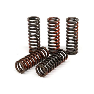 582643 - TRW Lucas TRW clutch spring kit