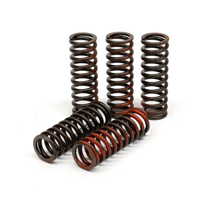 582644 - TRW Lucas TRW clutch spring kit