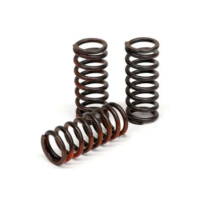 582645 - TRW Lucas TRW clutch spring kit