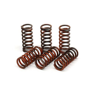 582646 - TRW Lucas TRW clutch spring kit