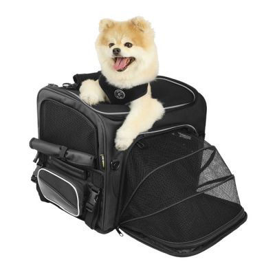 587259 - Nelson-Rigg Nelson Rigg, Route 1 Rover pet carrier black
