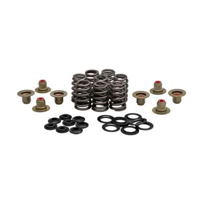 588696 - KIBBLEWHITE KPMI, .550" high lift valve spring kit. Steel