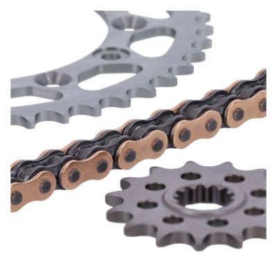 931991 - Afam, sprocket and chain kit