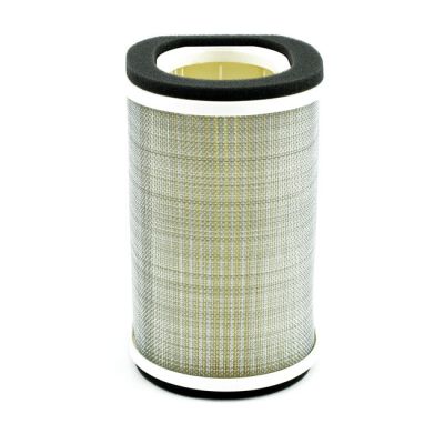 934194 - MIW, replacement air filter Y4245