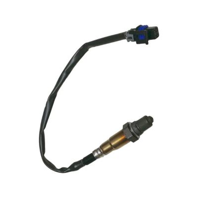 942469 - CVP, O2 sensor Indian