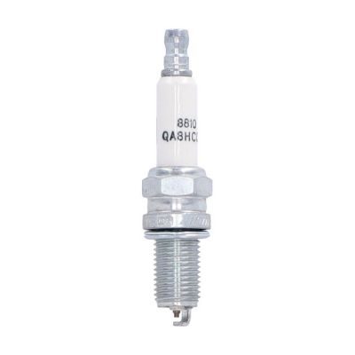 948536 - Champion, spark plug 8810