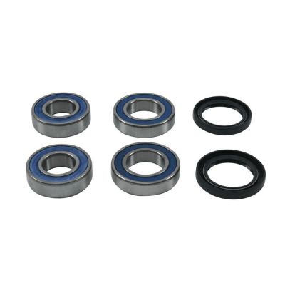 948856 - All Balls wheel bearing kit, rear