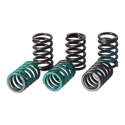 949828 - TRW Lucas TRW clutch spring kit