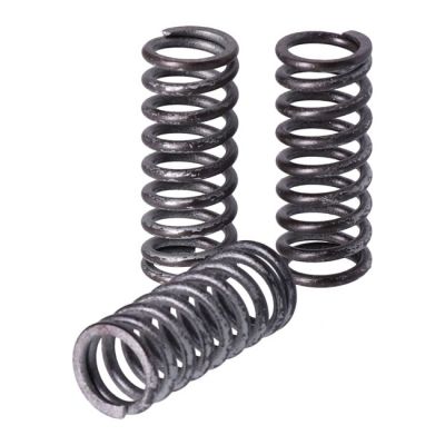 949841 - TRW Lucas TRW clutch spring kit