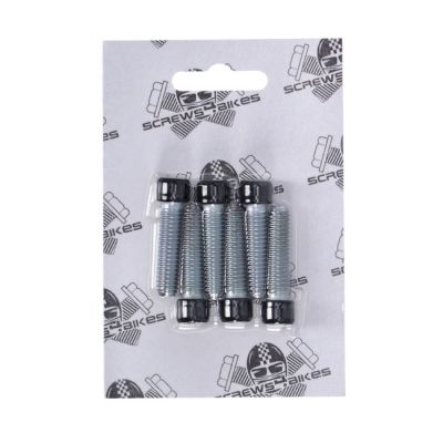 979722 - Screws4Bikes, bolt kit, front fork brackets