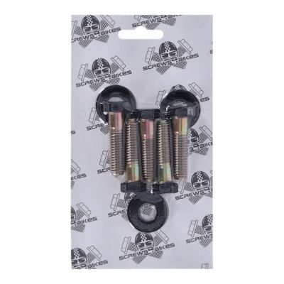 979762 - Screws4bikes, bolt kit, pulley
